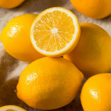 Lemon Plant Live, 2-4 Inches Tall, Dwarf Citrus Tree Starter for Indoor or Outdoor Growing, in 4" Pot