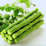 100 Moringa Oleifera Drumstick Seeds for Planting, Moringa Seeds, Herb Garden, Easy to Plant