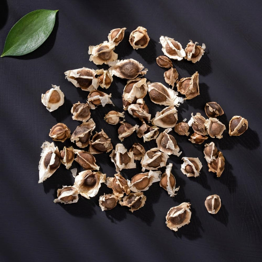 35 Moringa Seeds, Moringa Oleifera Seeds, Fast Growing Drumstick Tree Plant Seed for Outdoor Garden