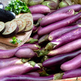 Eggplant Plant Live for Planting, 4 to 7 Inches Tall, Live Eggplant Plant for Planting, Purple Eggplants Plants, Vegetable Plant, 4 Inch Pot