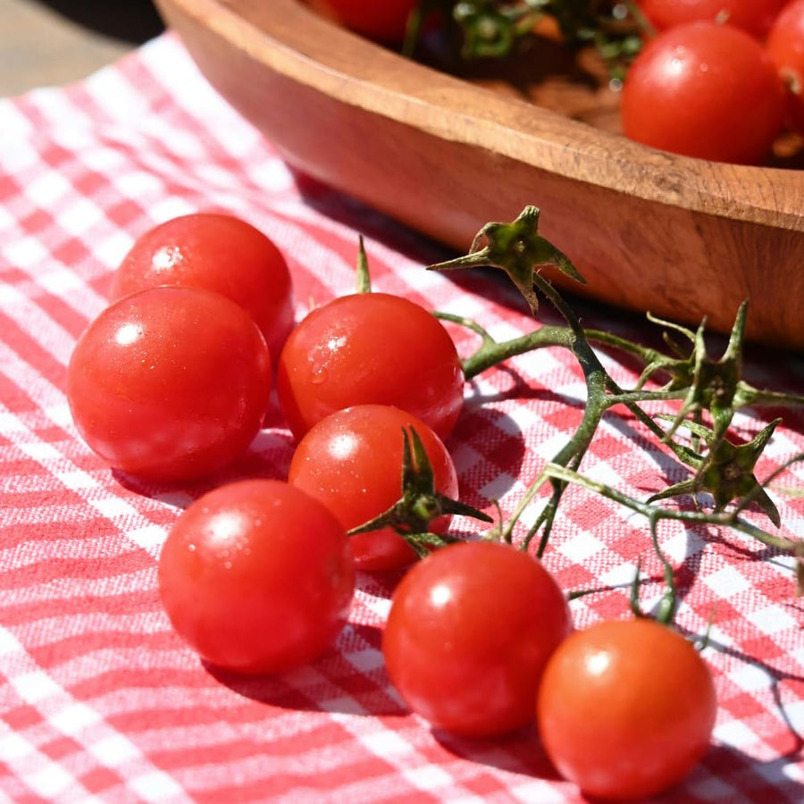 500 Cherry Tomato Seeds for Planting, Small Red Tomato Seeds, Heirloom Vegetable Seed, Sweet Tomatoes for Container and Outdoor Planting