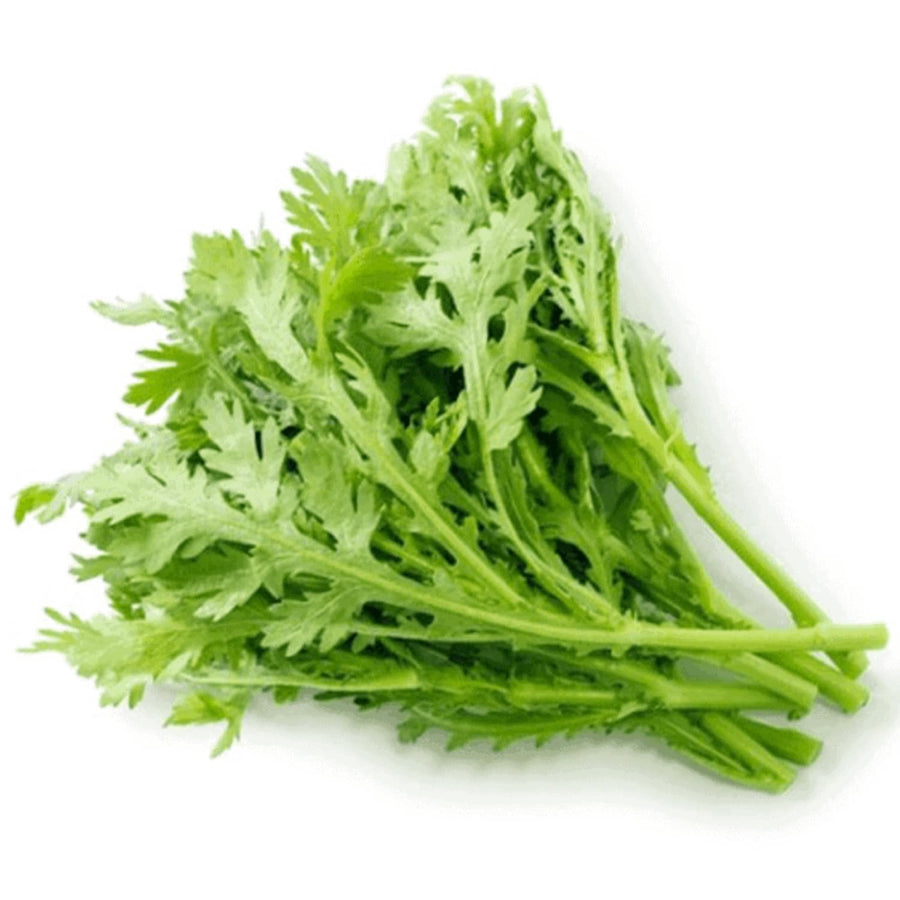 4000 Tan O Chrysanthemum Seeds, Edible Green Seeds, Growing Vegetable for Garden, Containers