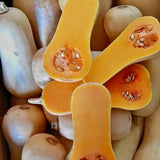 10 Butternut Squash Seeds for Planting, Squash Vegetable Seeds, Grow for Outdoor Garden, Trellis