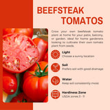 400 Beefsteak Tomato Seeds for Planting, Tomato Seeds, Heirloom Vegetable Seed, Sweet Tomatoes for Container and Outdoor Planting