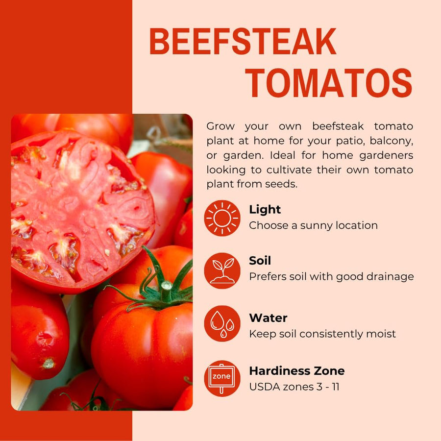 400 Beefsteak Tomato Seeds for Planting, Tomato Seeds, Heirloom Vegetable Seed, Sweet Tomatoes for Container and Outdoor Planting