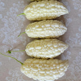 20 Bitter Melon Seeds for Planting, White Bitter Gourd Vegetable Seeds for Home Garden, Vegetable Vine Plants Seed
