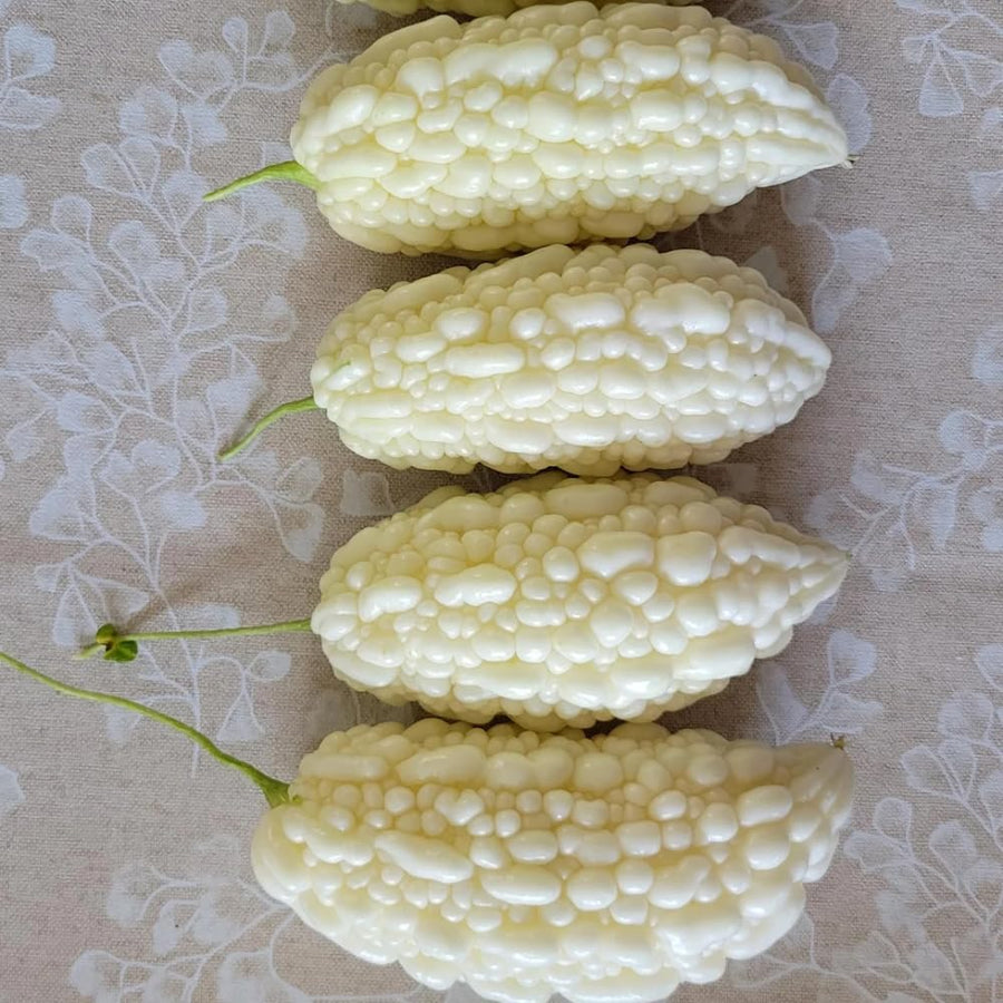 20 Bitter Melon Seeds for Planting, White Bitter Gourd Vegetable Seeds for Home Garden, Vegetable Vine Plants Seed