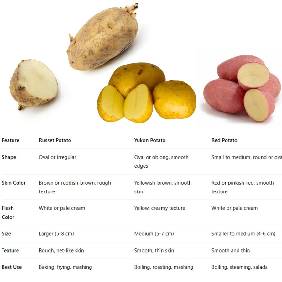 2 Lbs Red Potato Tubers High Yielding for Outdoor Planting,Vegetables Potatoes Plants Bulbs Seeds, Heirloom Seed Potato Live Tuber
