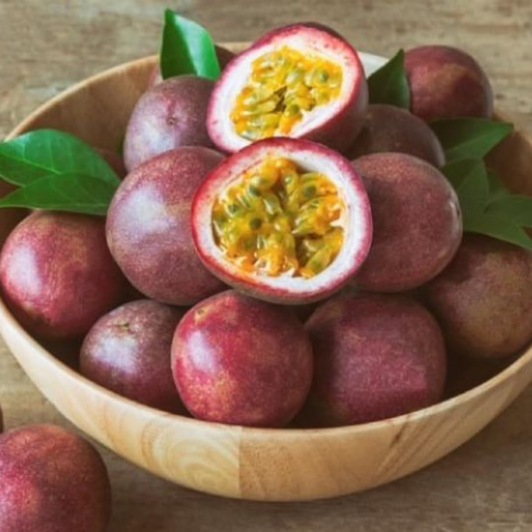 Live Purple Passionfruit Plant, Passion Fruit Vine, 2–3 Feet Tall, Ready for Planting