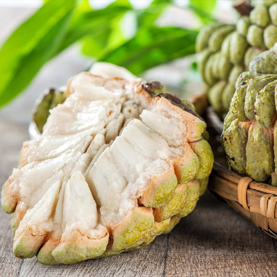 Sugar Apple Plant Live, 8 Inches Tall in 3 Inch Pot, Annona Squamosa Tropical Fruit Tree for Indoor or Outdoor Growing