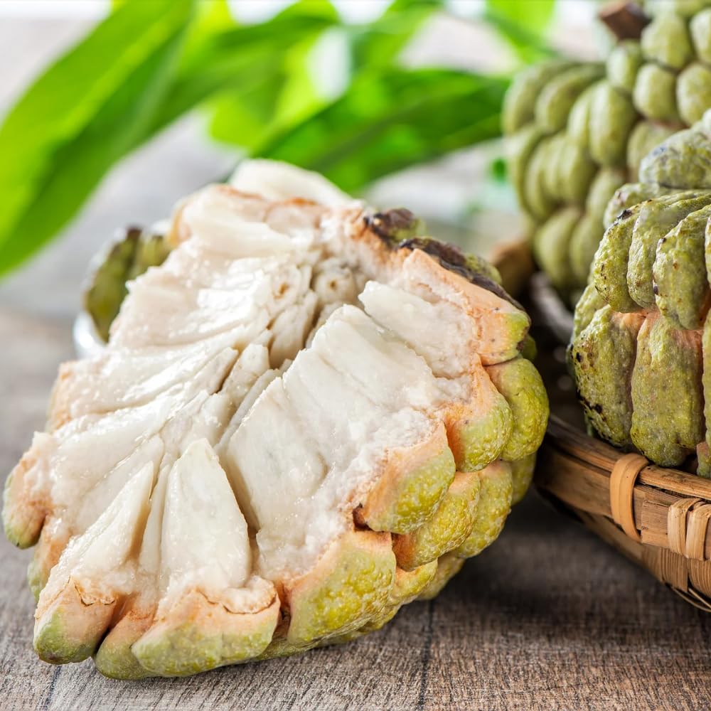 Live Sugar Apple Tree, Annona Squamosa Fruit Plant, 6-12 Inch Tall in 3” Pot, Tropical Custard Apple Plant