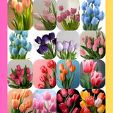 10 Pack Mixed Bulbs, Tulips and Daffodils Flower Bulbs, Colorful Spring for Outdoor Planting