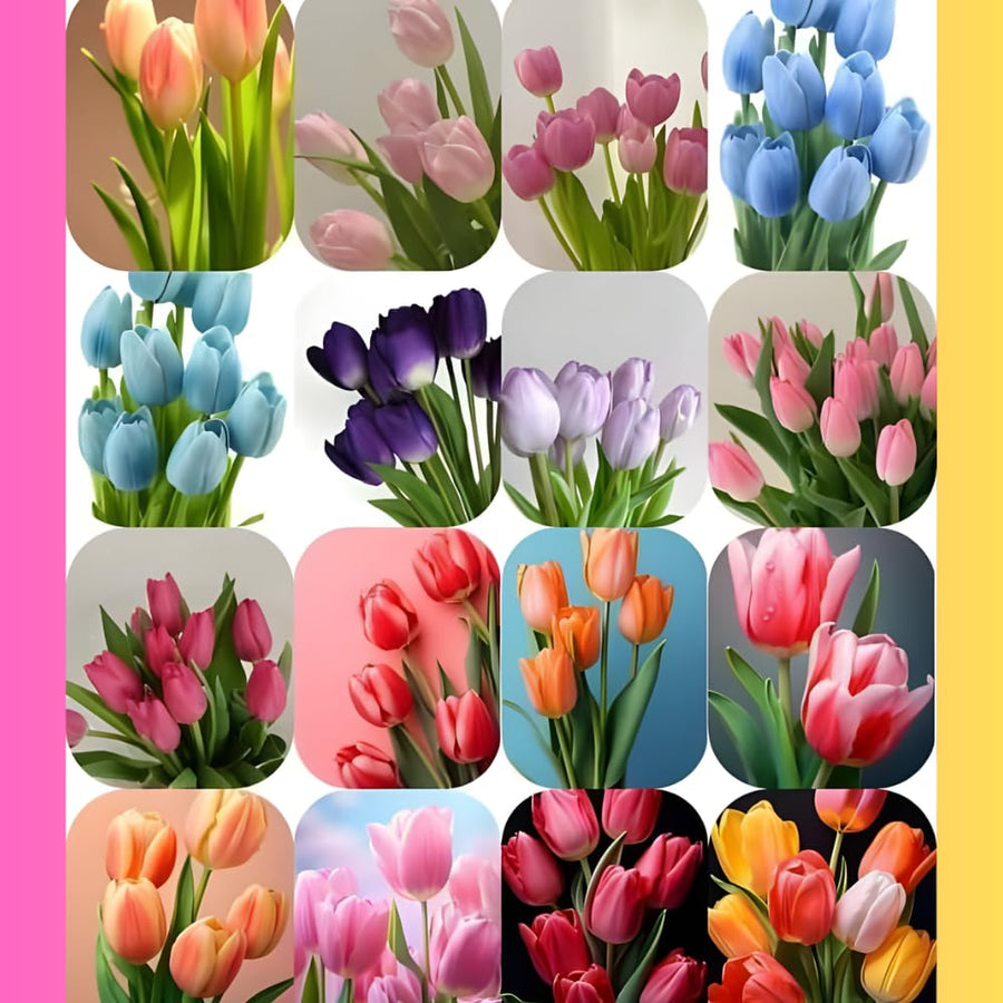 10 Pack Mixed Bulbs, Tulips and Daffodils Flower Bulbs, Colorful Spring for Outdoor Planting