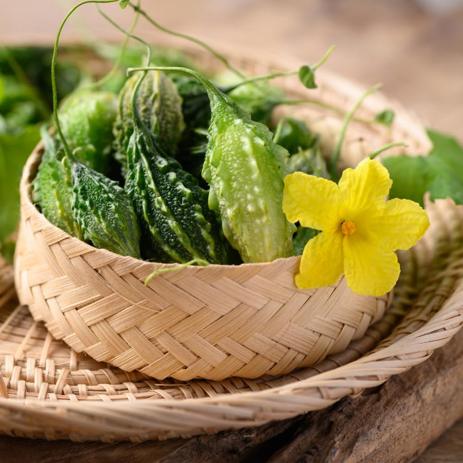 25 Short Bitter Melon Seeds for Planting, Green Bitter Gourd Vegetable Seeds for Home Garden, Vegetable Vine Plants Seed