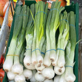 100+ American Flag Leeks Seeds, Garden Leek Seeds, Vegetable Seeds for Outdoor Planting, Suitable for Home Gardening Use
