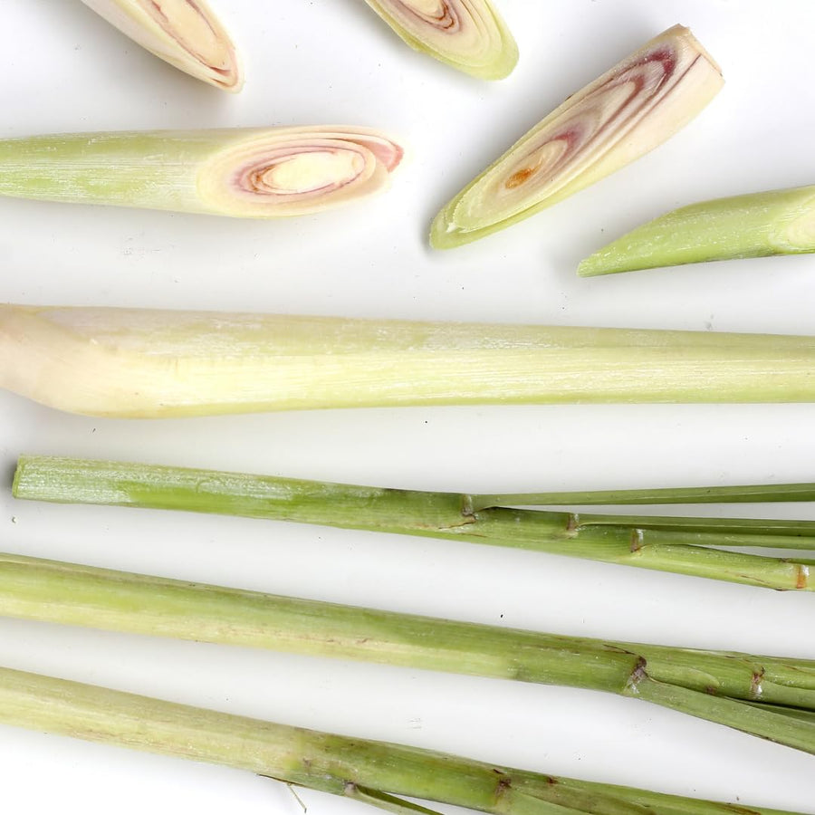 Pack 100 Lemongrass Seeds for Growing, Lemongrass Seeds, Heirloom Culinary Herb, Ready to Grow