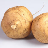 Set 48 Jicama Seeds, Jicama Plant, Vegetable Garden Seeds, Sweet Root for Outdoor Gardening
