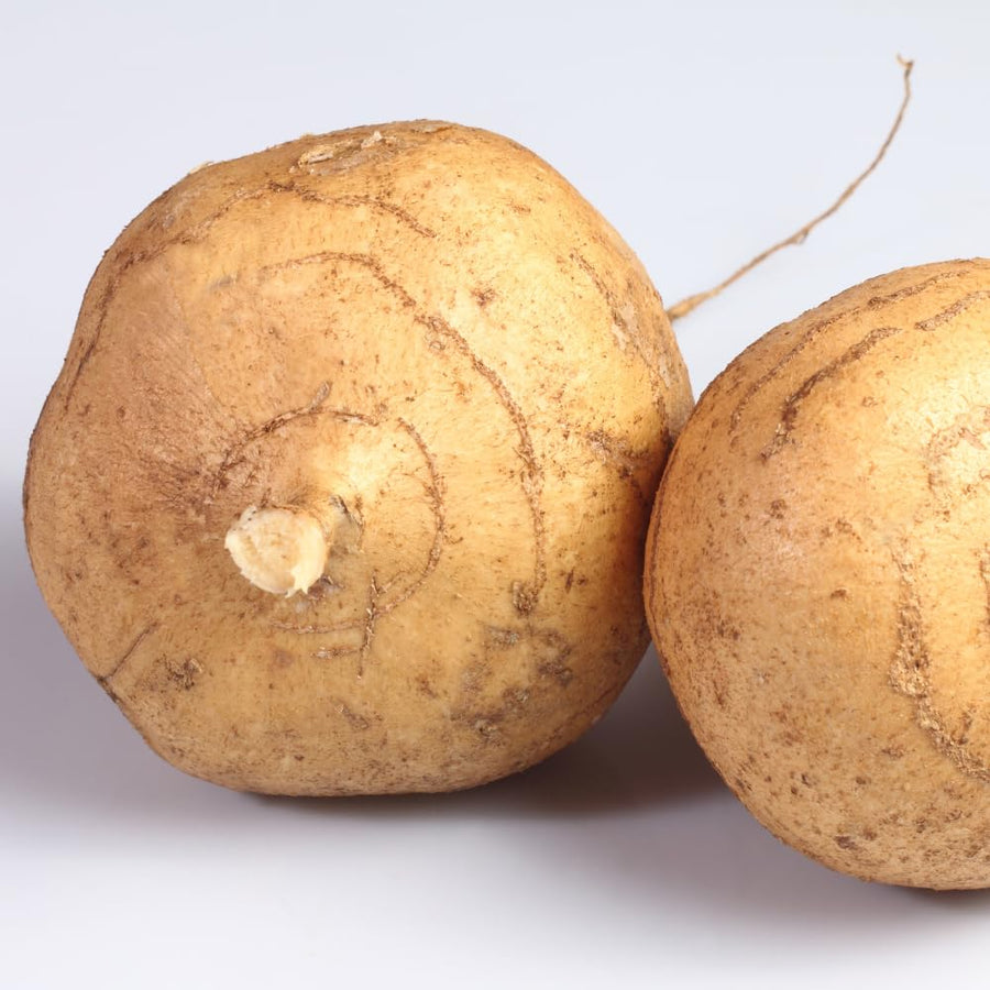 Set 48 Jicama Seeds, Jicama Plant, Vegetable Garden Seeds, Sweet Root for Outdoor Gardening