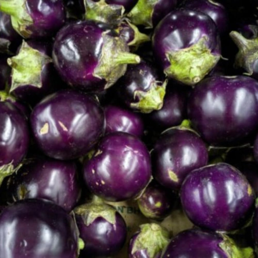 Pack of 100 Purple Round Eggplant Seeds for Planting, Assorted Eggplant Vegetable Seeds for Outdoor Gardening, Suitable for Home Garden Beds, Raised Beds, or Containers