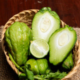 Green Chayote Squash Vine Live Plant, Edible Vegetable Plant, 8-10 Inches Tall for Garden Planting