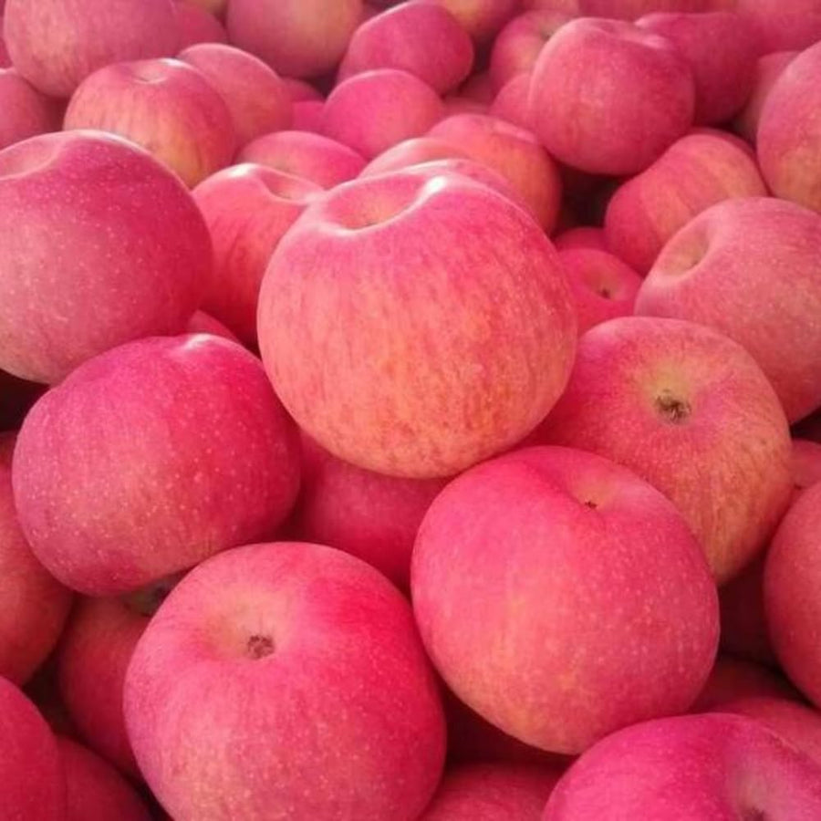 Pink Apple Tree Live Plant, 2-3 Feet, Sweet Fruit Apple Plant Live for Home Garden
