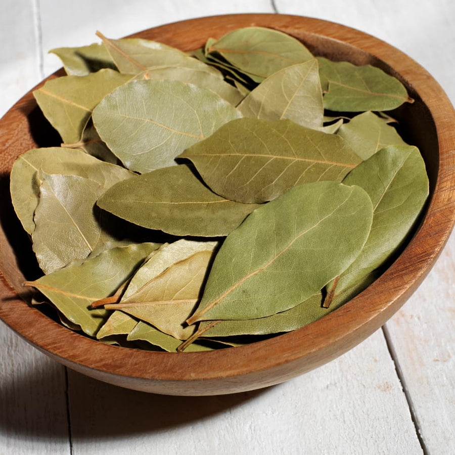 Bay Laurel Tree Live, Sweet Bay Leaf Tree, 8-10" Tall, Laurus Nobilis Culinary and Ornamental Herb Plant