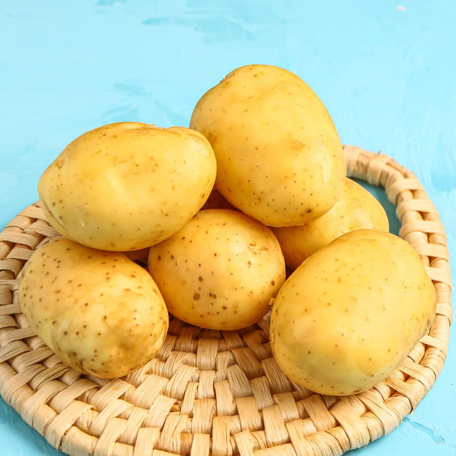 2 Lbs Yellow Potato Tubers High Yielding for Outdoor Planting,Vegetables Potatoes Plants Bulbs Seeds, Heirloom Seed Potato Live Tuber