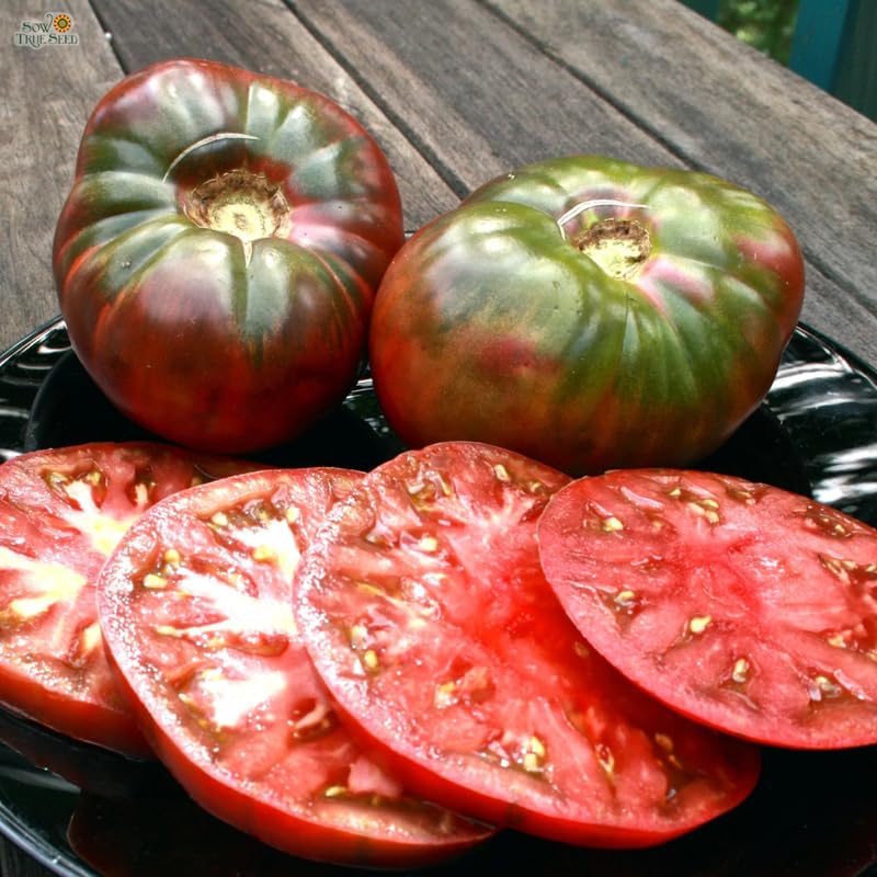 Lot 4 Tomato Plants Live for Planting Outdoors, Large and Juicy Tomatoes, Well Rooted, 6 to 8 Inch - Cherokee Purple Tomato