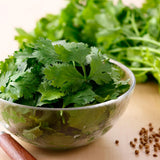 Live Cilantro Plant, Cilantro Herb Vegetable, 4-7 Inches Tall, 4 Inch Pot for Growing