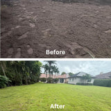 20000 Zoysia Emerald Grass Seeds, Emerald Zoysia Grass for Garden, Zoysia Grass Seeds Perennial Tropical for Growing