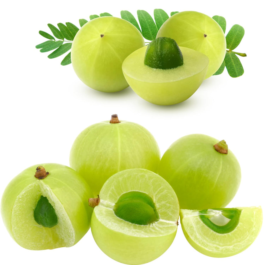 3 Years Old Gooseberry Tree Plant Live, Rare Large Gooseberry Bush 3 Feet Tall, Sweet Fruit Tree Garden for Outdoor Indoor