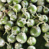 Pack of 100 Green Round Eggplant Seeds for Planting, Assorted Eggplant Vegetable Seeds for Outdoor Gardening, Suitable for Home Garden Beds, Raised Beds, or Containers