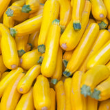 Set 75 Seeds Zucchini Seeds for Planting, Golden Zucchini Seeds, Summer Squash Seed for Indoor Outdoor Planting