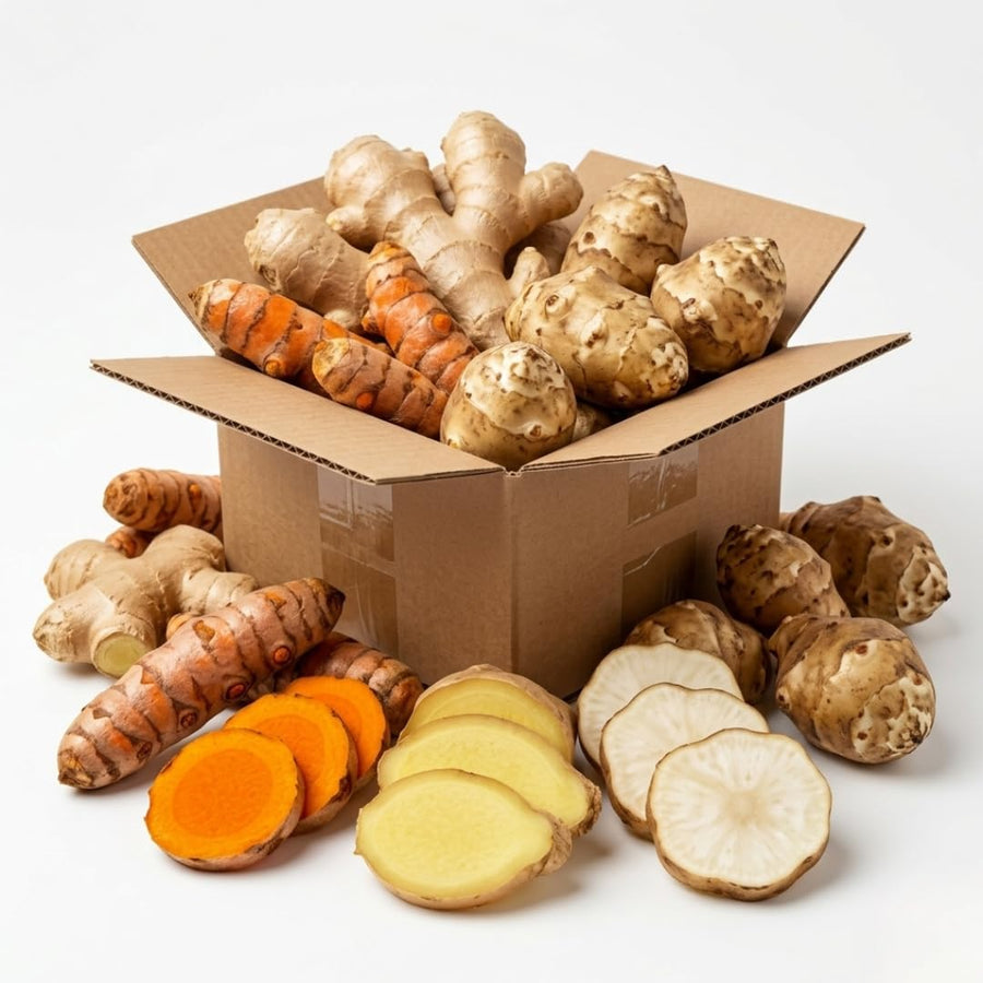 Bundle 9 (L Size) Ginger Roots, Jerusalem Artichoke Tubers and Turmeric Rhizomes for Garden Planting, Fresh Heirloom Roots for Gardens, Ready to Plant