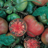 Lot 4 Tomato Plants Live for Planting Outdoors, Large and Juicy Tomatoes, Well Rooted, 6 to 8 Inch - Black Krim Tomato