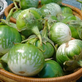 Pack of 100 Green Round Eggplant Seeds for Planting, Assorted Eggplant Vegetable Seeds for Outdoor Gardening, Suitable for Home Garden Beds, Raised Beds, or Containers