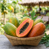 Dwarf Red Papaya Tree Live Plant 8-12 Inches, Sweet Papaya Plant Starter in Half Gal Pot, Ready to Grow, Outdoor Garden Planting