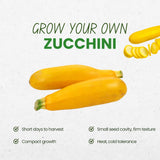 Set 75 Seeds Zucchini Seeds for Planting, Golden Zucchini Seeds, Summer Squash Seed for Indoor Outdoor Planting