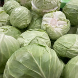 500 Cabbage Seeds, Head Cabbage Seeds, Green Vegetable for Planting, Ready ro Grow Containers and Outdoor Growing