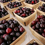 4 Black Cherry Plants Live, 1-1.5 Feet Tall, Sweet Cherry Tree Live Plant, Bareroots, Dormant, Black Cherry Live Plant Fruit Tree, Cherry Tree Plant