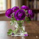 Ranunculus Bulbs, 25 Ranunculus Bulbs, French Peony Style Buttercup Corms, Spring Blooming Garden Flowers, Vibrant Flower Plant (Purple Ranunculus)