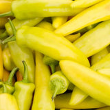 Set of 2 Yellow Banana Pepper Plants Live in Pot, Hot Bird Peppers Plants, 100 Days Old, 6 to 10 Inches Tall