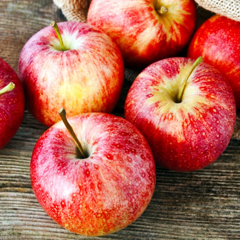 2-3 Ft Apple Tree Live Plant, Apple Fruit Plant Bare Root for Backyard Orchard Home Garden, Sweet Fruit