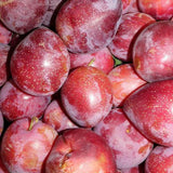 Set of 2 American Plum Trees Plants Live for Planting, 9" to 16" in Height, Bare Roots, Dormant in Winter, Outdoor Gardening, Zones 5-9