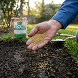10000 Emerald Zoysia Grass Seed for Garden, Zoysia Grass Seeds, Ideal for Yard, Backyard Landscaping