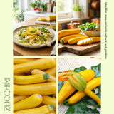 Set 75 Seeds Zucchini Seeds for Planting, Golden Zucchini Seeds, Summer Squash Seed for Indoor Outdoor Planting