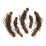 5 Ostrich Fern Bare Root Rhizomes Plant, Live Fern Plants for Shade Gardens, Hardy Outdoor Perennials Plant