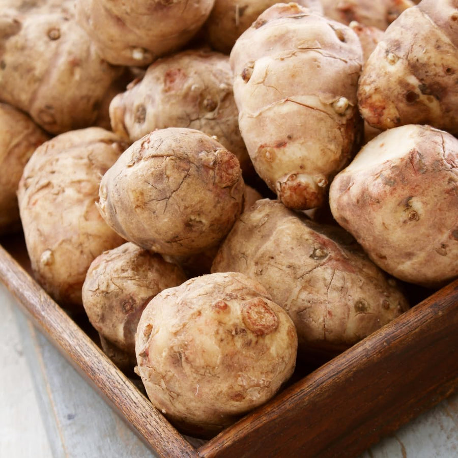 1 LB Jerusalem Artichoke Tubers, Sun Chokes Large Size and Fast-Growing, Sunchoke Jerusalem Artichoke Roots for Growing Home Garden Outdoor Spring