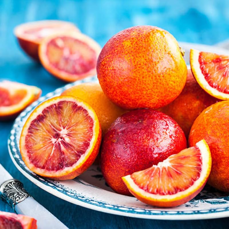 Blood Orange Tree Live Plant, 3 Feet Tall Grafted Citrus Tree, Sweet Red Orange Fruit Tree for Outdoor Planting