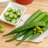 Okra Live Plant in 4" Pot, Okra Seedling from 3-5 Inches Tall, Edible Vegetable Plant for Outdoor Growing, Backyard Gardens and Raised Beds, 2PPP